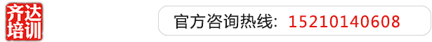 中国人操壁一级大骚壁齐达艺考文化课-艺术生文化课,艺术类文化课,艺考生文化课logo